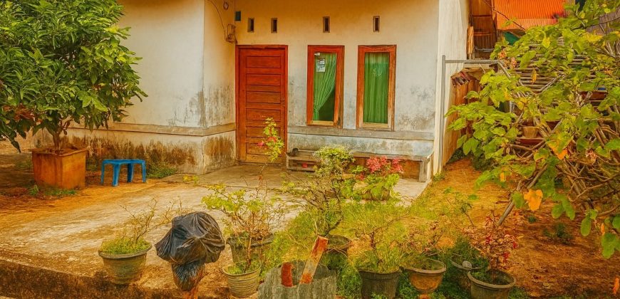 Rumah Type 36 (Over Kredit)